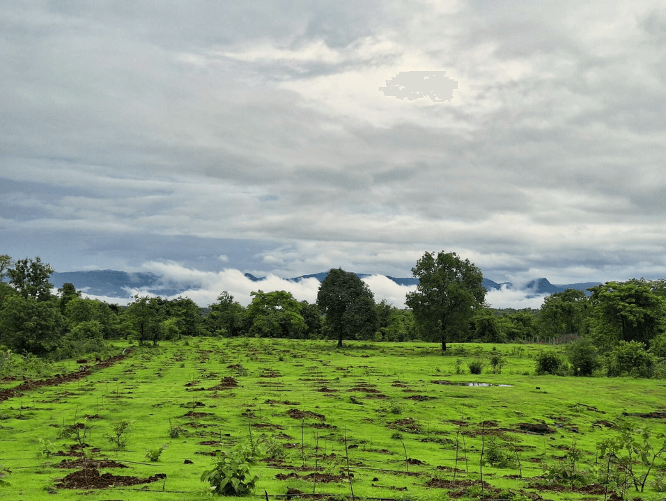Vedanta Wisdom University land plan